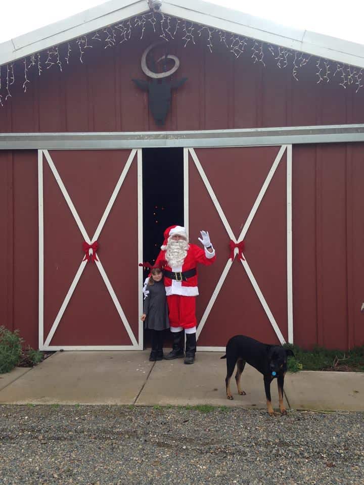 Santa with kid at Goathouse Brewing